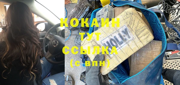 ешки Новодвинск