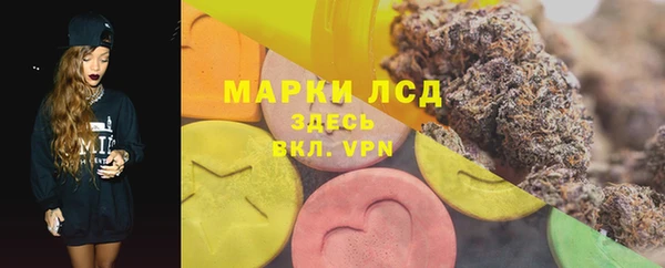 ешки Новодвинск