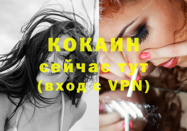 ешки Новодвинск