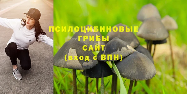 метадон Бикин