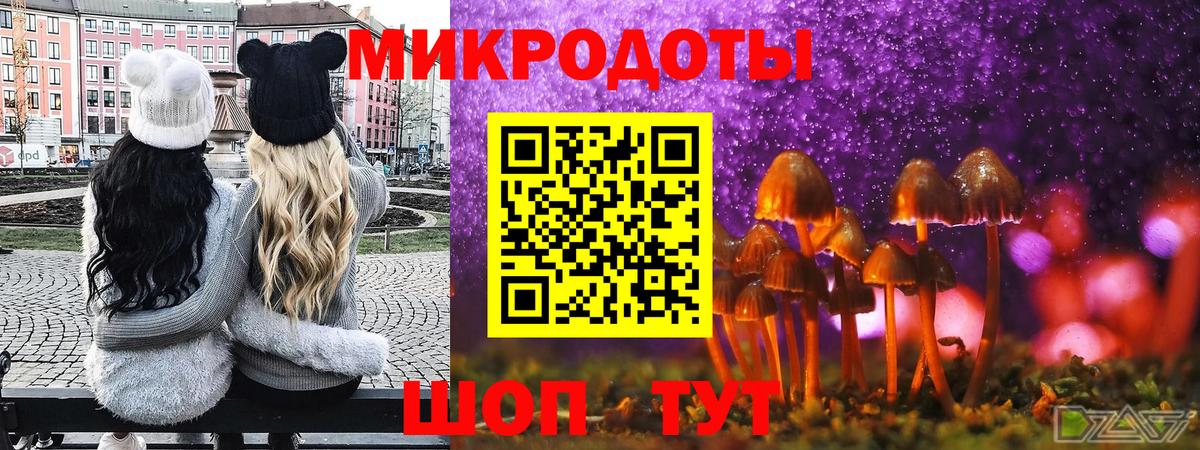 Сосновоборск  Галлюциногенные грибы ЛСД  Вход с VPN 